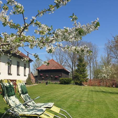 Bed and Breakfast Folwark Goscino-Dwor Екстер'єр фото