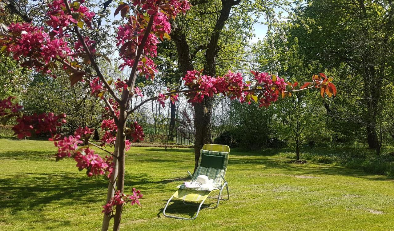 Bed and Breakfast Folwark Goscino-Dwor Екстер'єр фото
