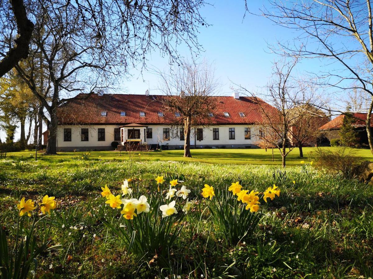 Bed and Breakfast Folwark Goscino-Dwor Екстер'єр фото